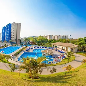 Golden Dolphin Express Brasil